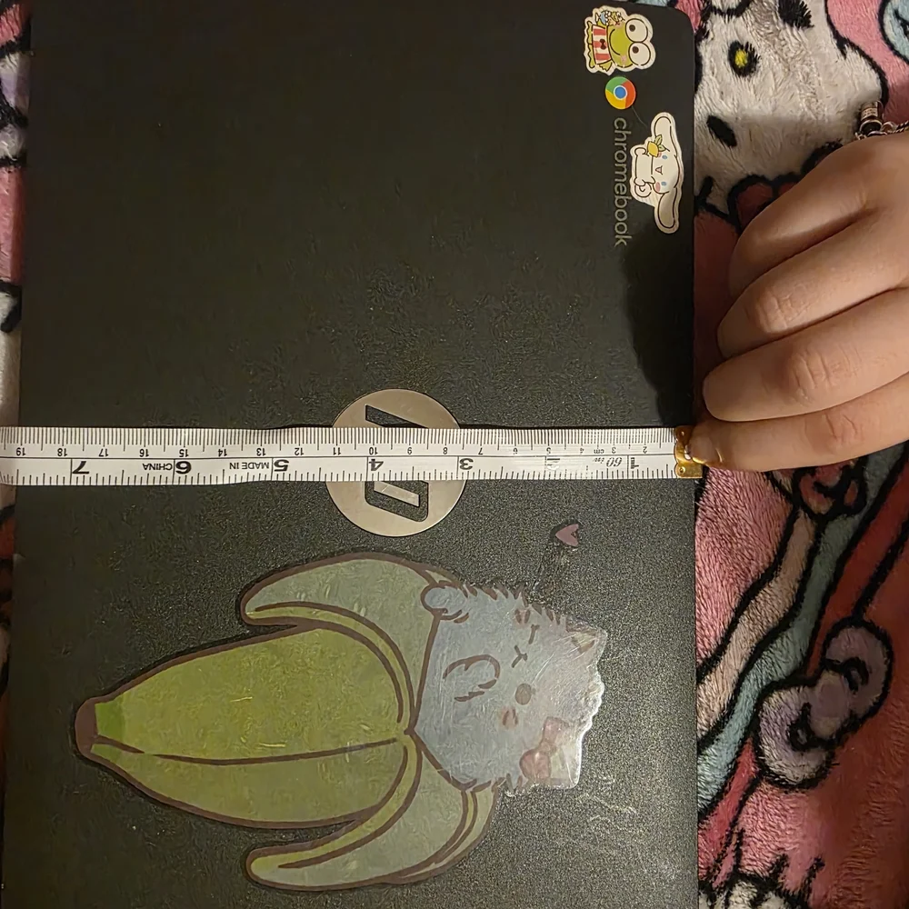 HP Chromebook with Cat and Avocado Sticker
